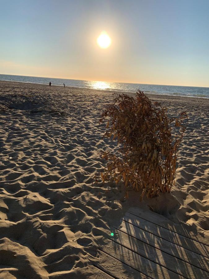 Grand Large * Blonville-sur-Mer